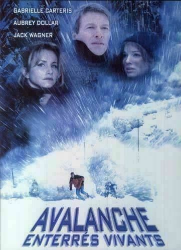 Avalanche Enterres Vivants [DVD] New! [DB21]